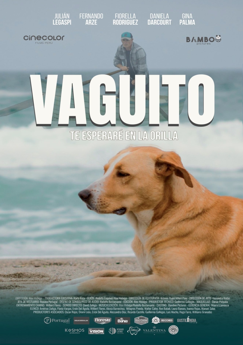 Poster de la película Vaguito, un perro esta recostado frente al mar, encima de el, sobre el mar, aparece una persona remando sobre un bote.collage de escenas de la película