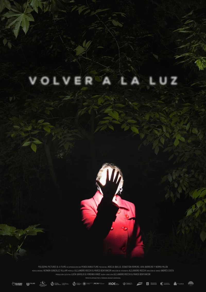 Poster de la película Volver a la luz, en un bosque a oscuras, una mujer sostiene su mano delante de su rostro resplandeciente.