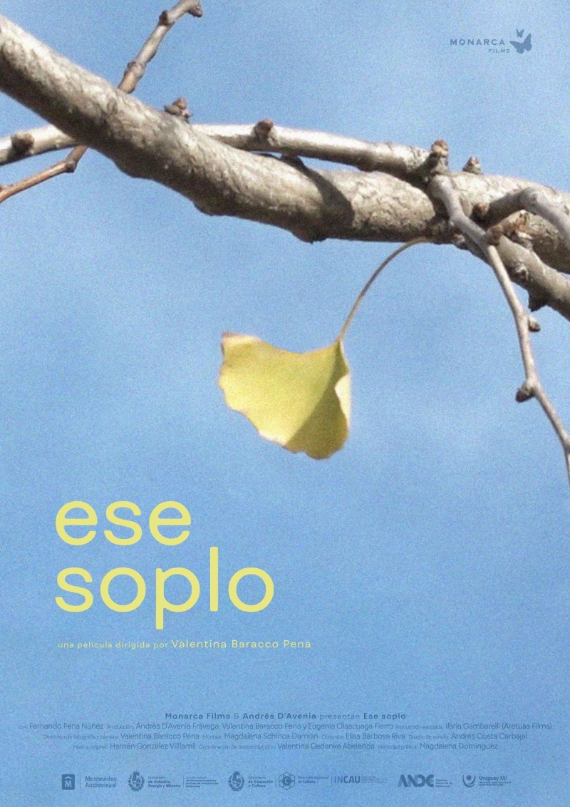 Poster de la película Ese soplo, sobre un fondo celeste una hoja cuelga de un tronco de árbol.