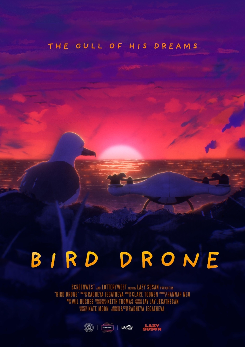 Poster de la película Bird Drone.